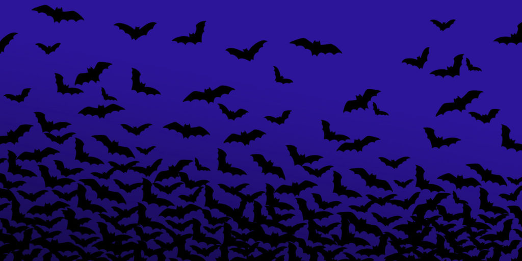 night frights evelle bats blue