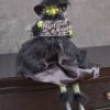 Night Frights Fabulous Believe in Magic Halloween Witch Doll Shelf Sitter Decoration